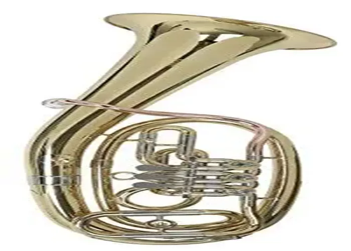 Is Brass Instruments a Wind