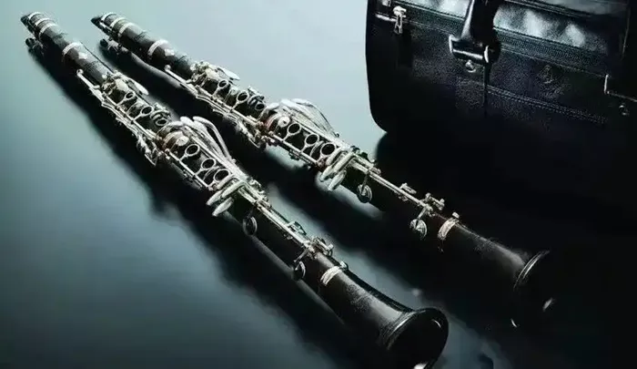 Is the Clarinet a Wind Instrument